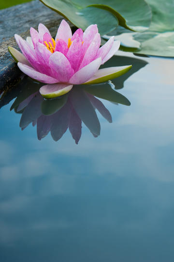鈕祜祿氏全是狠人